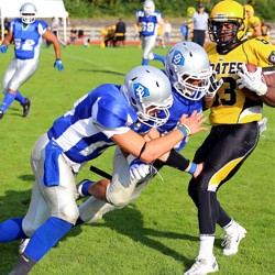 dd16082014 / Bild: Ralph Kiesewetter