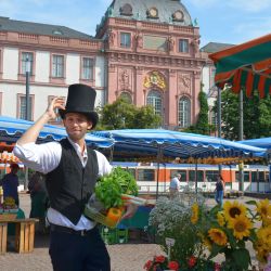 Datterichs Wochenmarkt / Bild: Darmstadt Marketing GmbH, Simone Sündermann