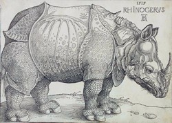 Bild: Albrecht Dürer Rhinocerus (Das Rhinozeros), 1515 Holzschnitt, ©Hessisches Landesmuseum Darmstadt, Foto: Wolfgang Fuhrmannek